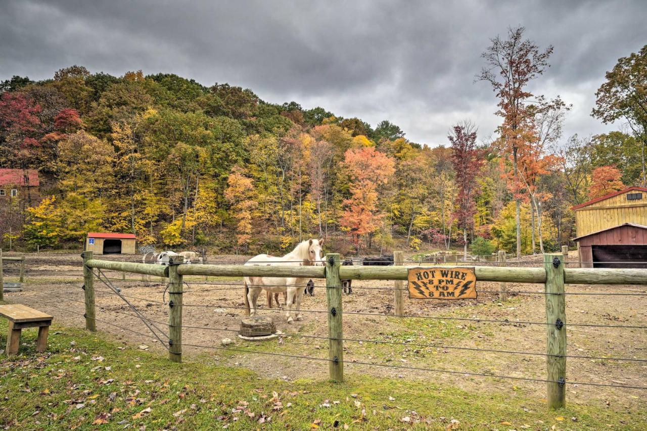 Rustic Clint Eastwood Ranch Apt By Raystown Lake Huntingdon Dış mekan fotoğraf